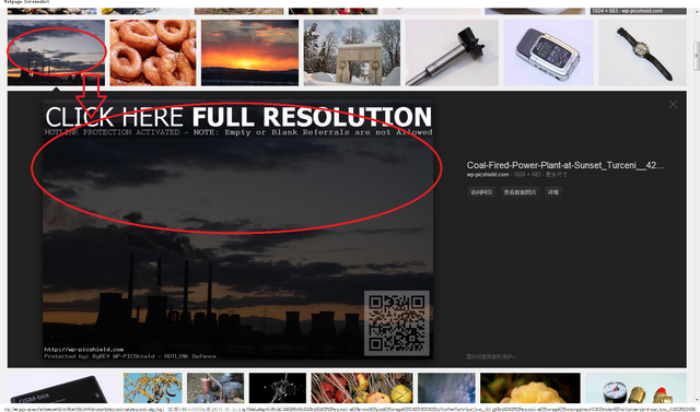 wp-picshield.com - Google 搜索.png