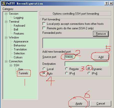 putty上的tunnels设置