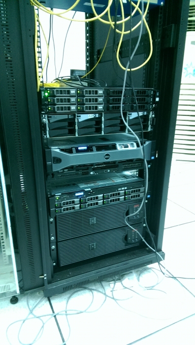 IMAG0113.jpg